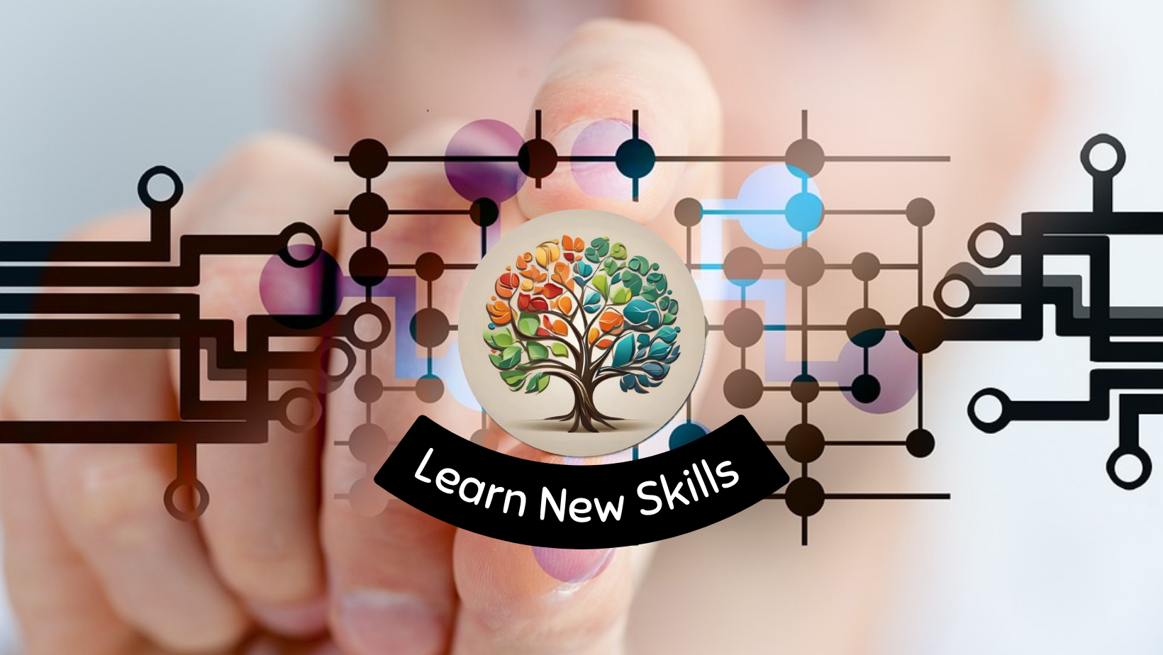 Learn New Skills