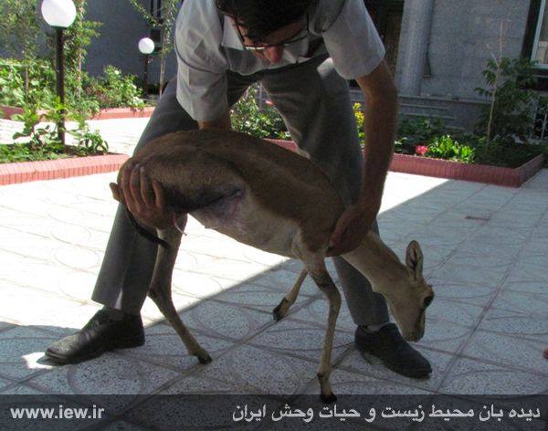 ‎Tavaana: E-Learning Institute for Iranian Civil Society توانا ...