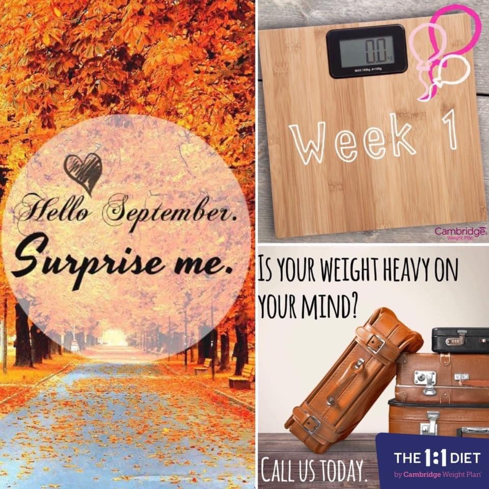 🍂🍁 SEPTEMBER ~ New Month, New You 🍂🍁 The school holidays are over and ...