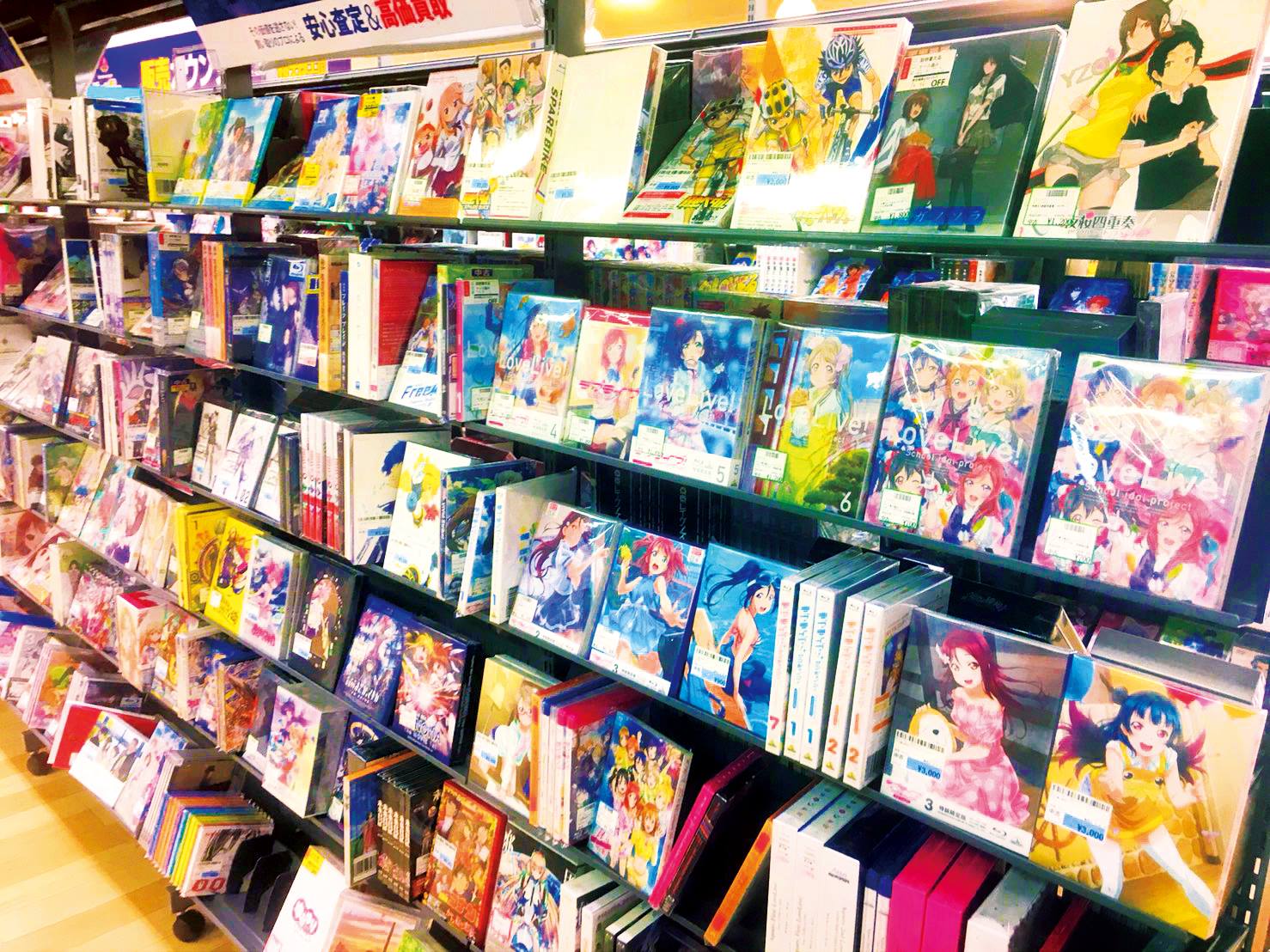 活動歴および当時の関連ビジュアル記録