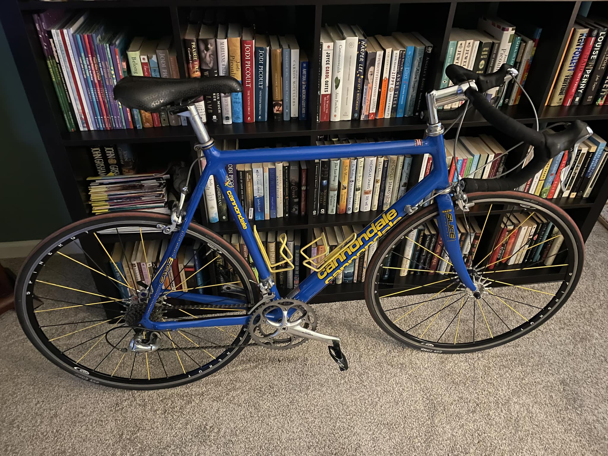 Old CAAD3 budget bike with upgraded components