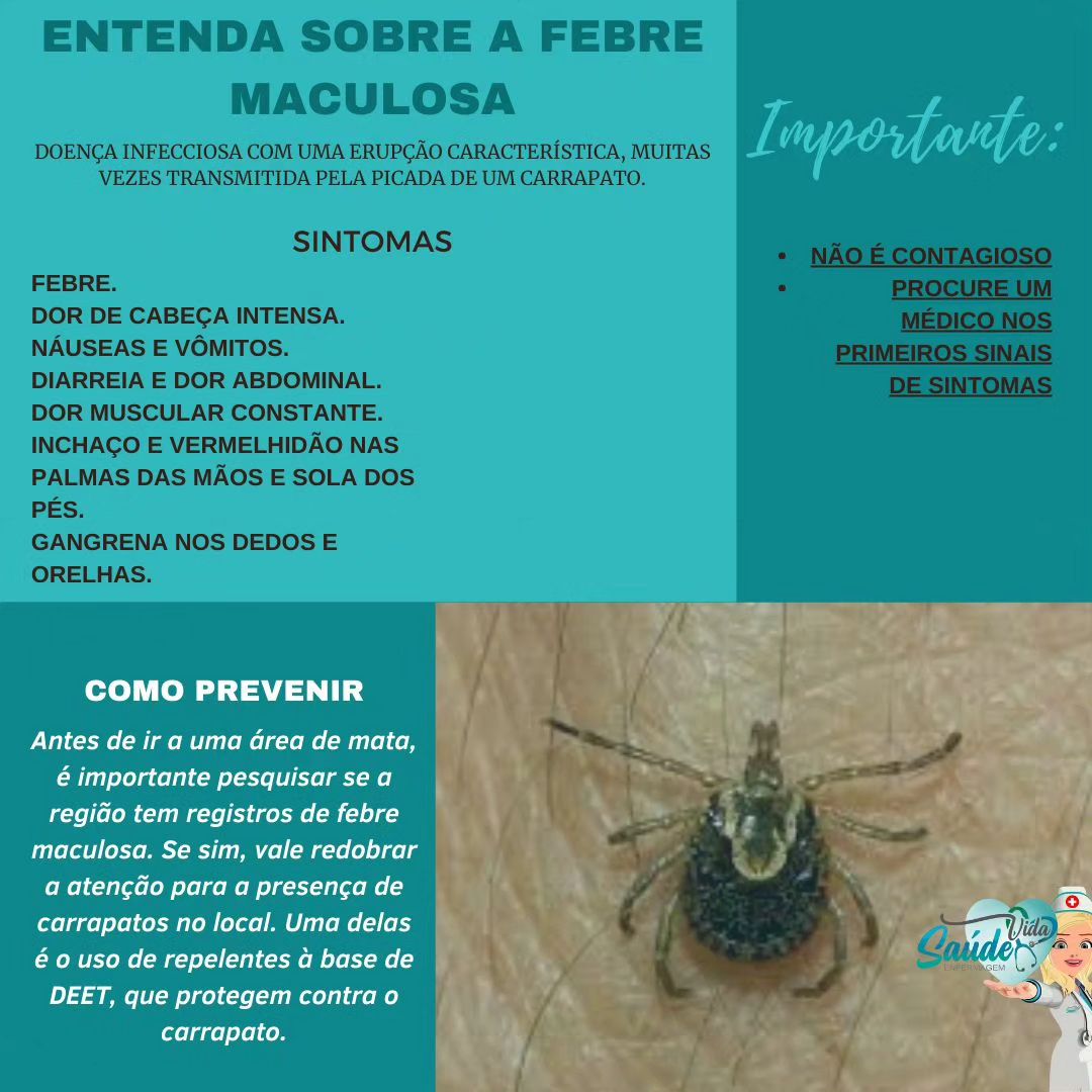 O que é a febre maculosa? Segundo... - Saude Vida Enfermagem