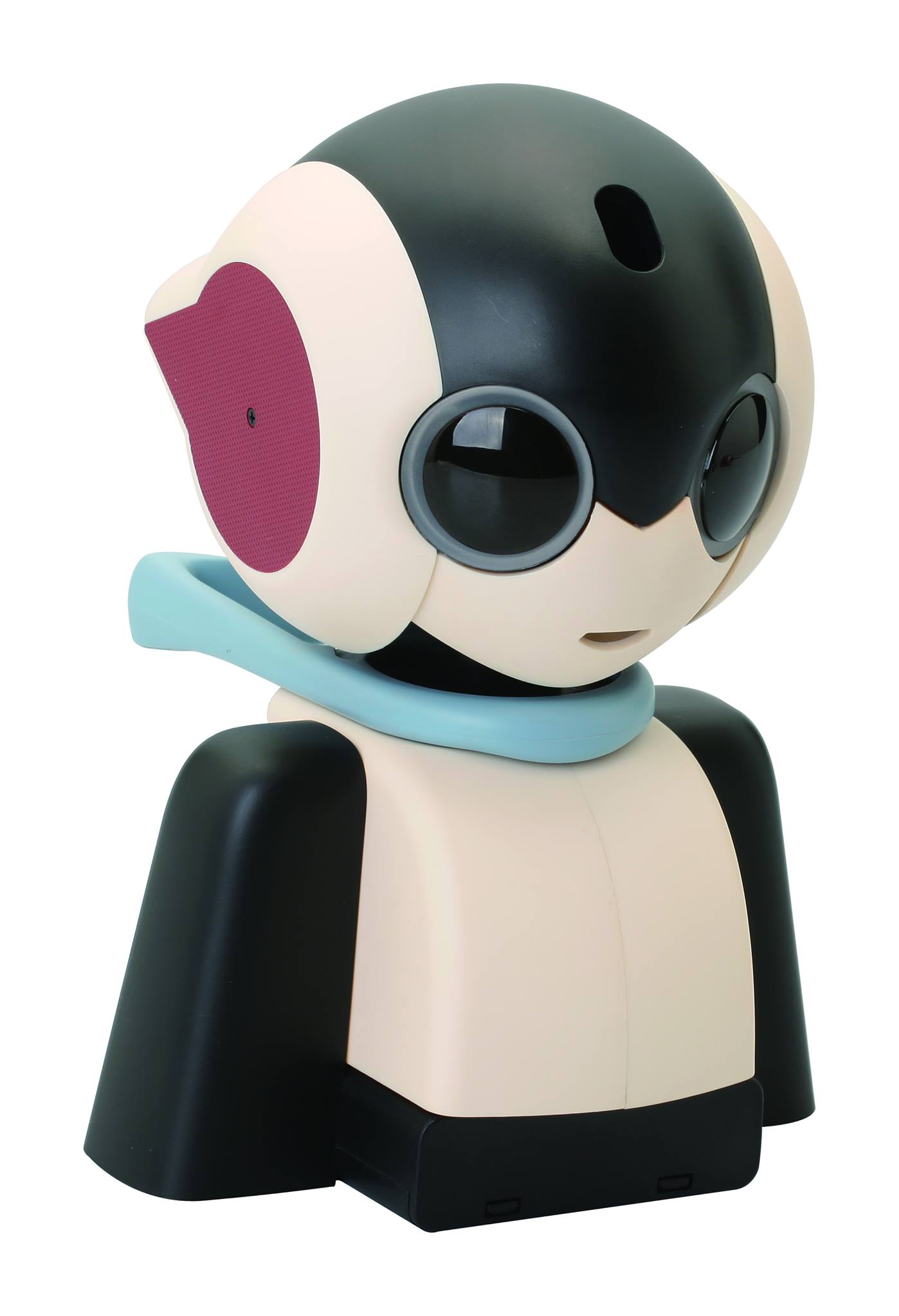 Build Your Own Robi