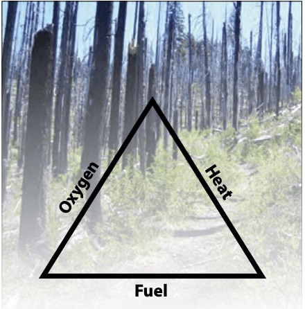 Wildfire needs... - Healthy Forests, Healthy Communities | Facebook