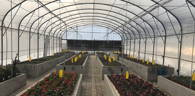 Multigrow Online | Durbanville