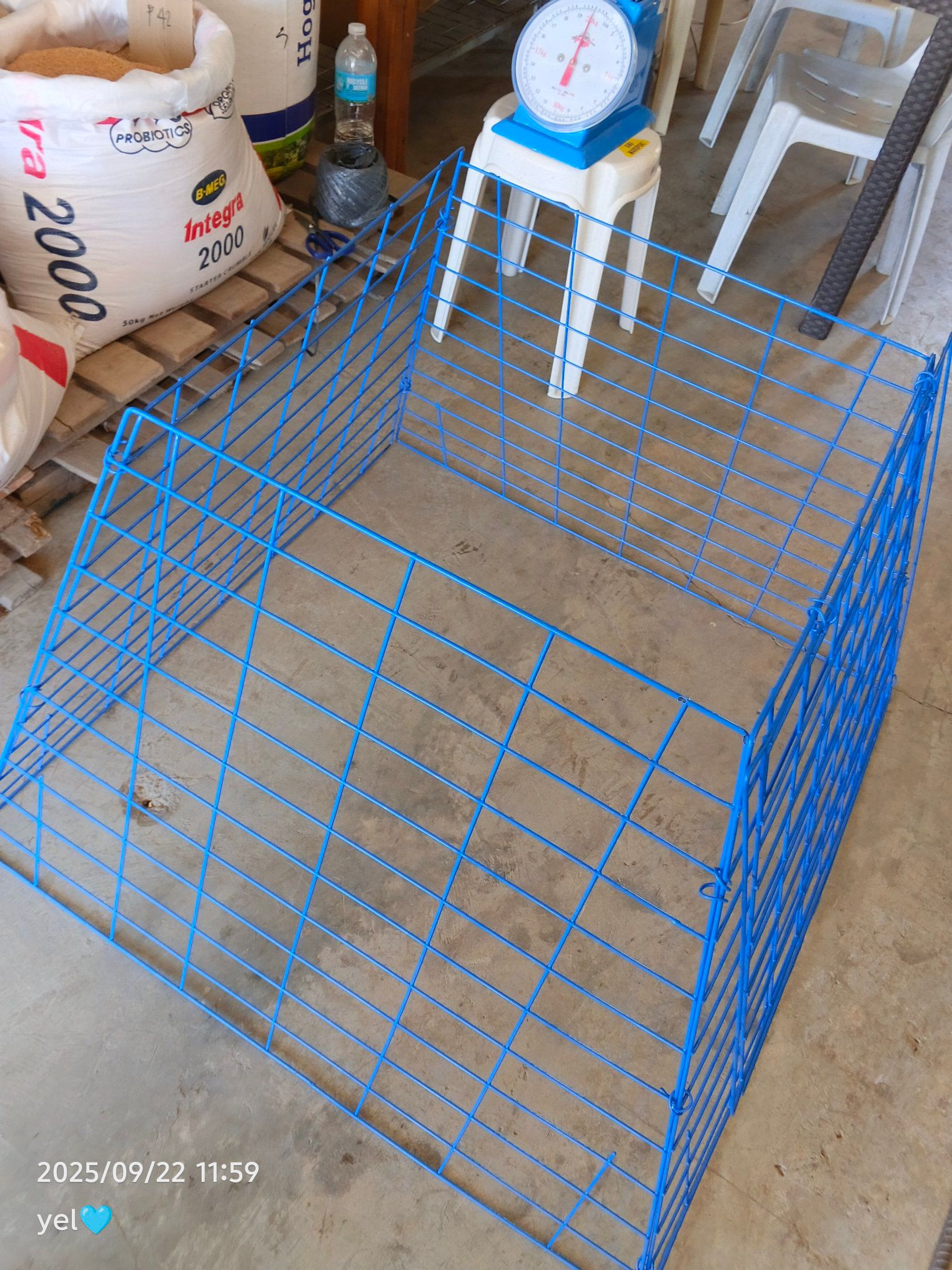 🌟 COATED... - Atikoy Badids Poultry Supplies Tubigon Branch | Facebook