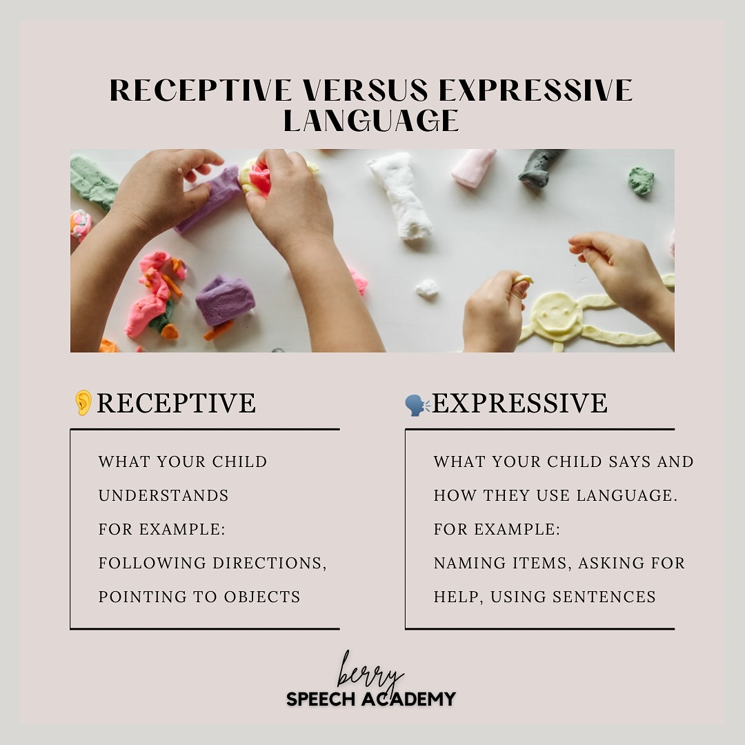 Berry - Receptive vs. Expressive Language: What’s the difference? You ...