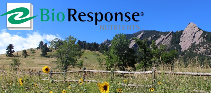 BioResponse Nutrients