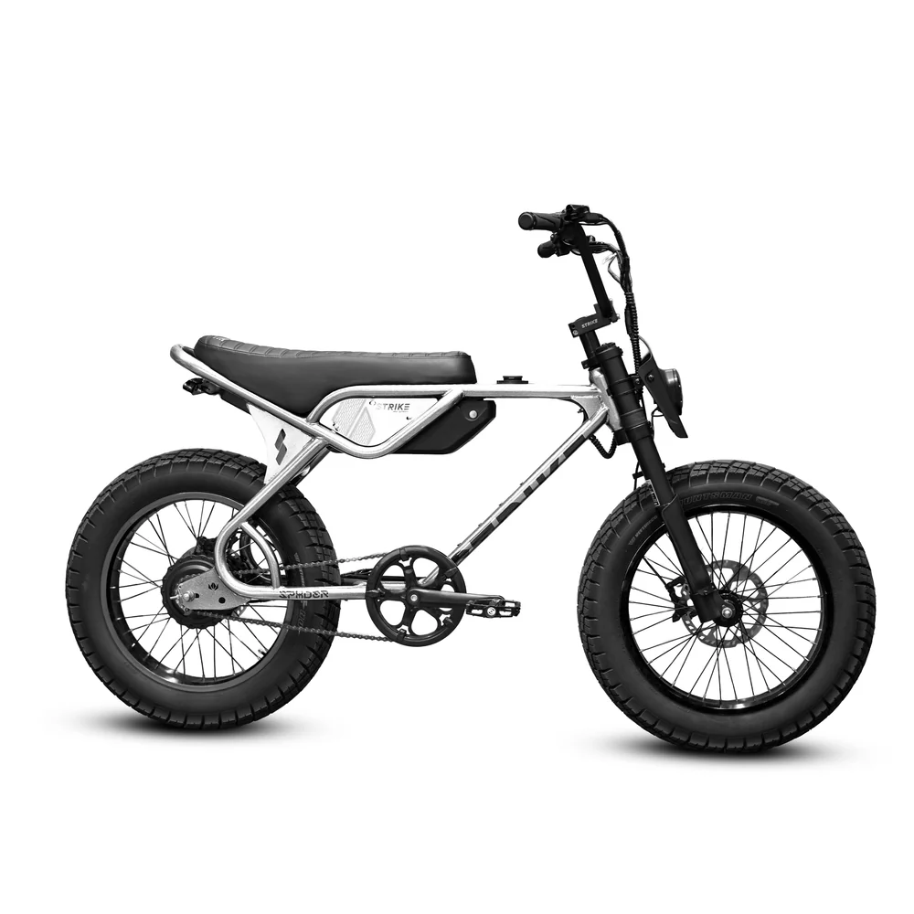Strike Rascal & Strike Spyder 500 E-Bikes - Bicycles - Tampa, Florida ...