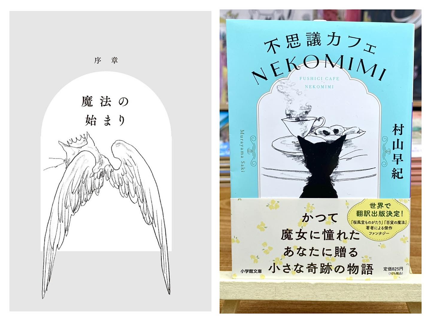 世界の片隅で起こる小さな魔法の物語- 文庫『不思議カフェ NEKOMIMI