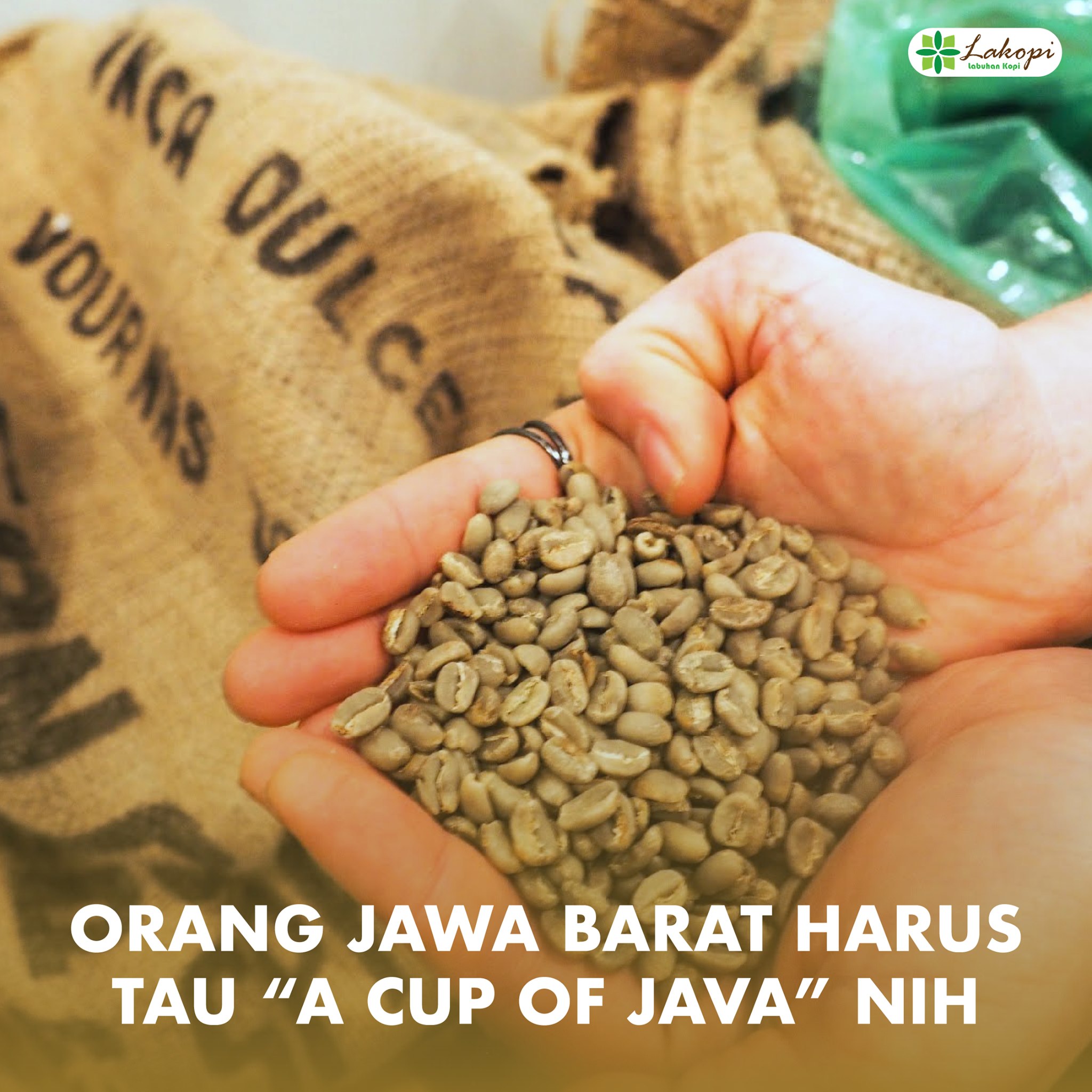 Lakopi - [ JAVA PREANGER, KOPI UNIK ASAL JAWA ] Kamu...