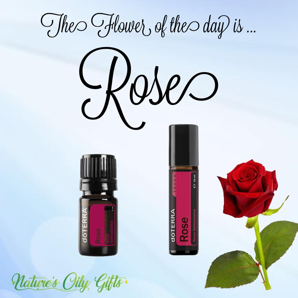 The queen of oils! Because of everything that goes into making