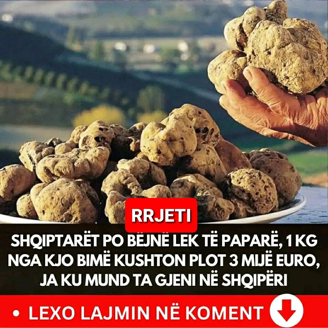 RRJETI - Shqiptarët po bëjnë lek të paparë, 1 kg nga kjo bimë kushton ...