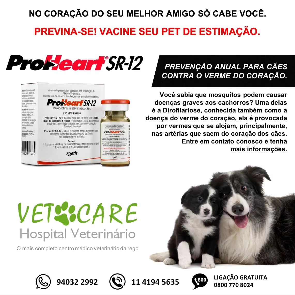 Bom dia e que... - Vet Care Hospital Veterinário 24 horas. | Facebook
