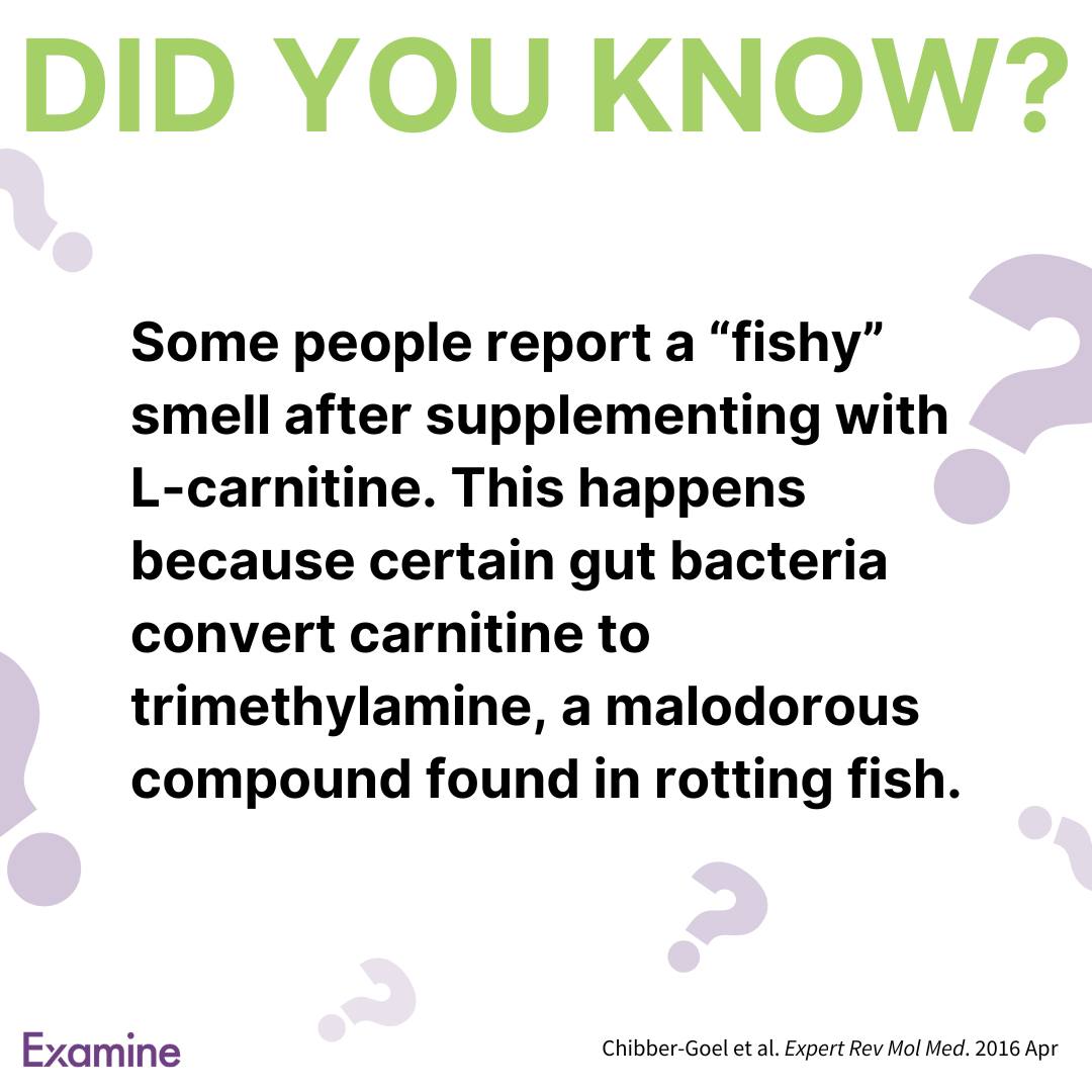 Why does L-Carnitine cause a fishy smell?