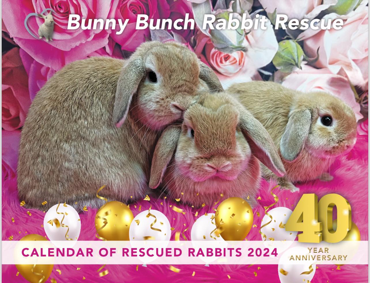 ⏳ COMING SOON! 🎉 It’s our... - Bunny Bunch Rabbit Rescue