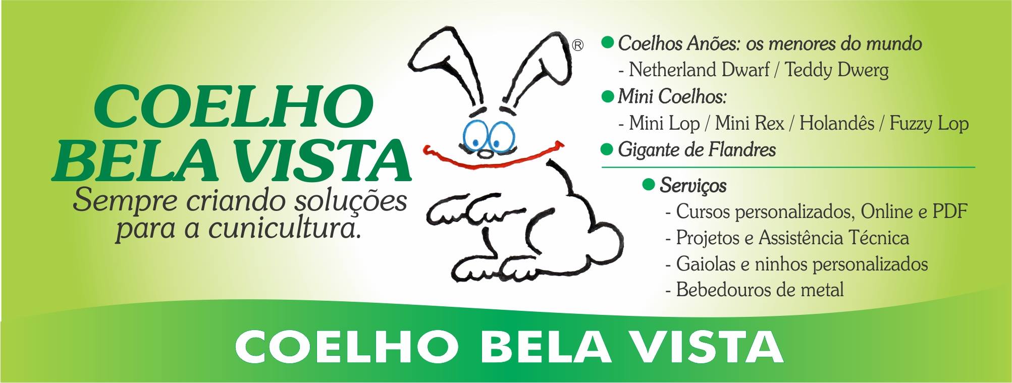 Condado dos Rabbit's - A raça deles é Netherland Dwarf ( anão holandês ...