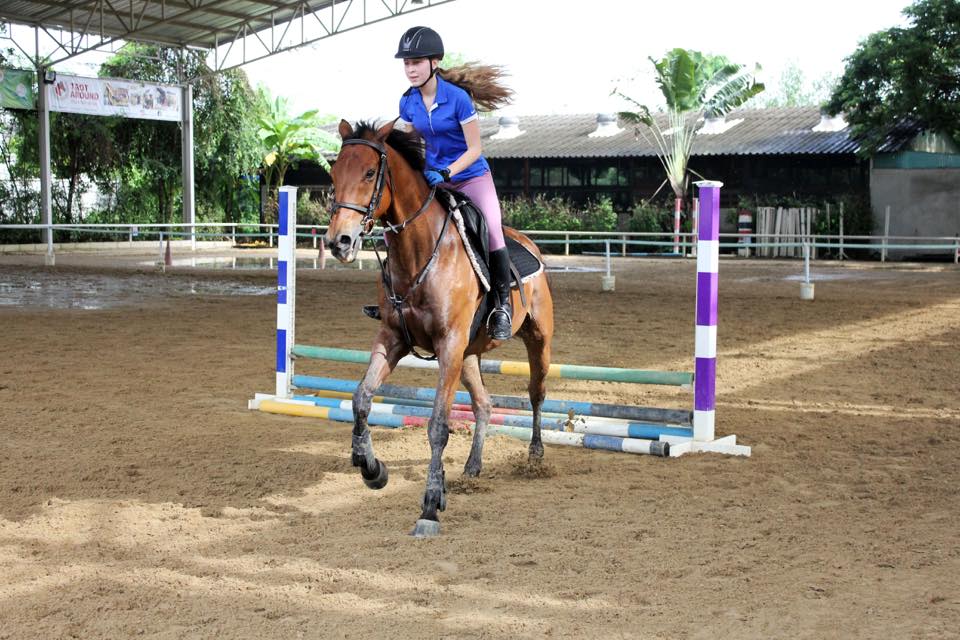 Let's Ride 🐴🐴... - Phoenix Riding Academy By KP