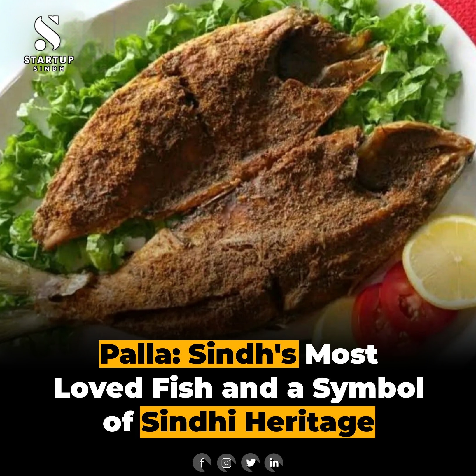 Startup - Palla: Sindh's Most Loved Fish and a Symbol of Sindhi ...