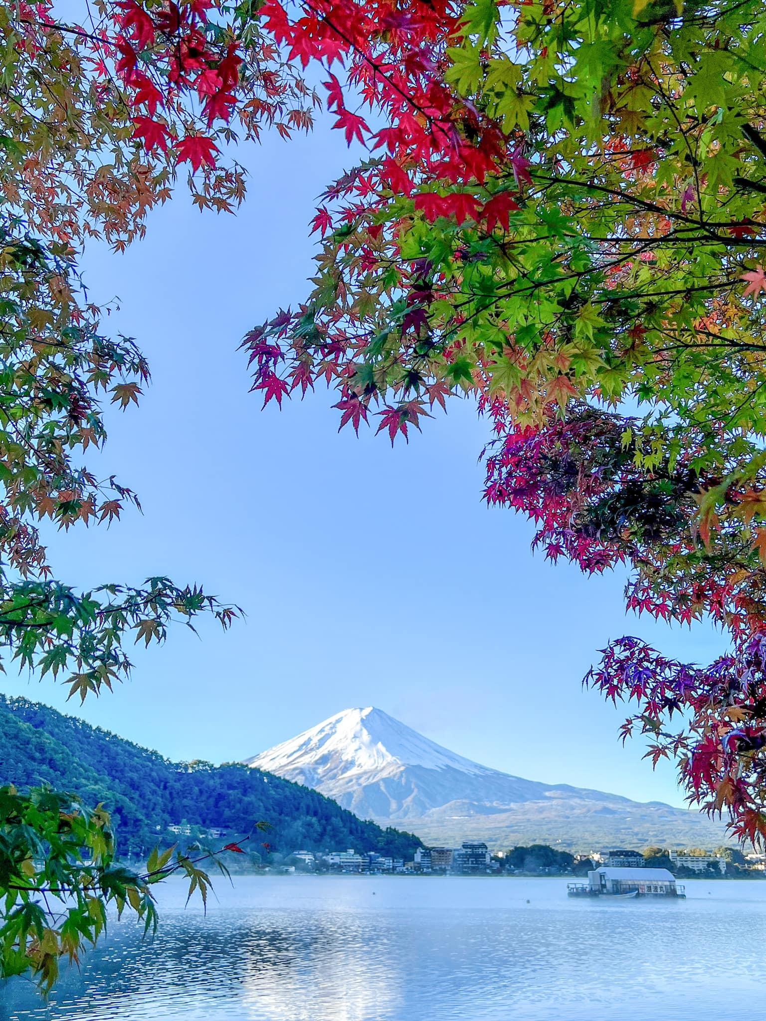 Mount Fuji in autumn from Lake Kawaguchi in Yamanashi Prefecture