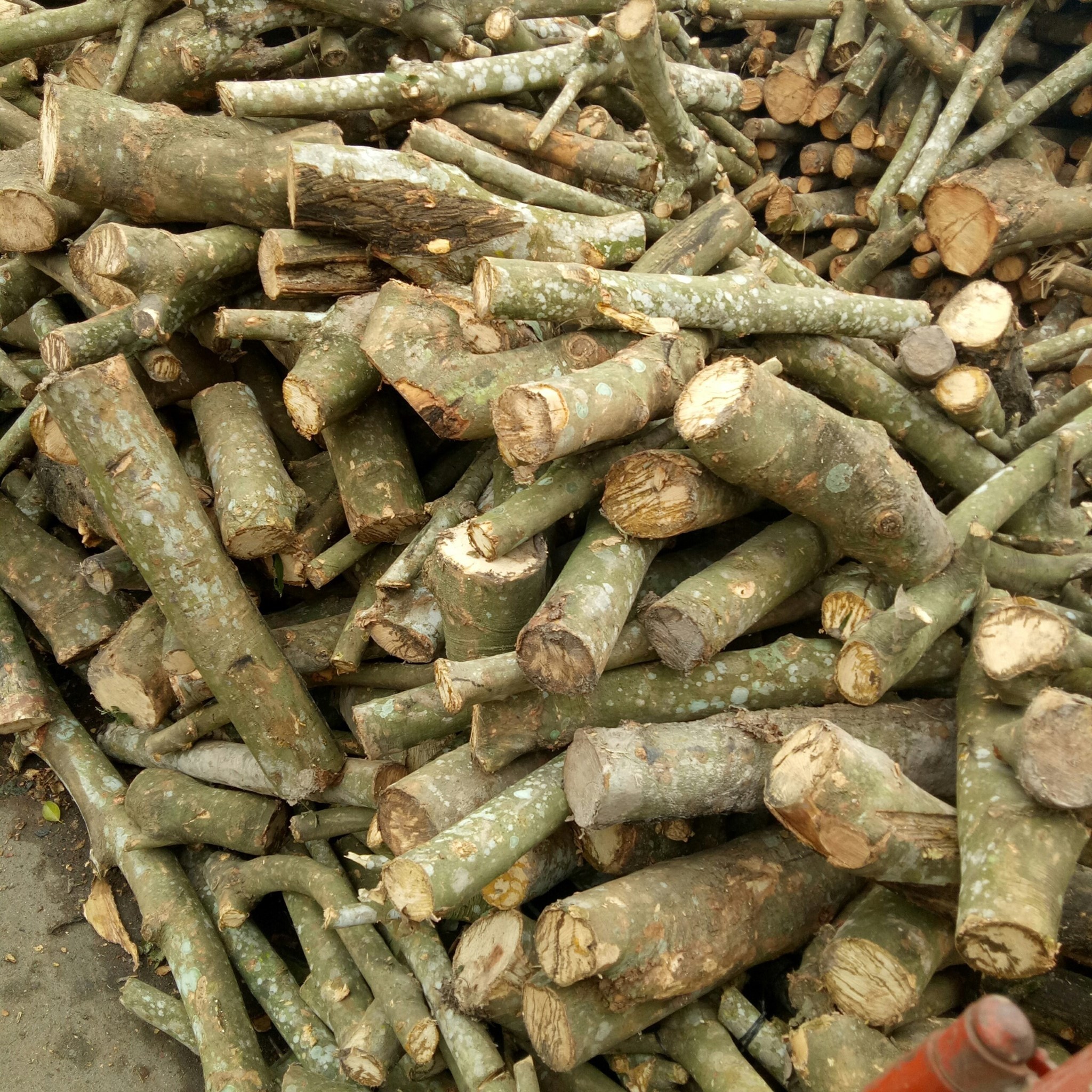 Củi Trấu Đốt Lò Hơi Đà Nẵng... - Củi Trấu Đốt Lò Hơi Đà Nẵng