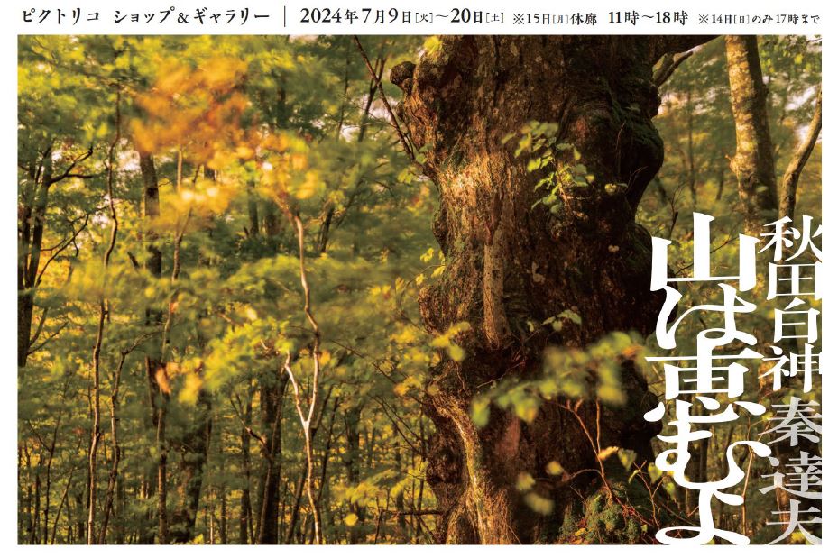全日本写真連盟 - 写真家・秦達夫さんによる写真展「秋田白神 山は恵むよ」が 7月9日（火）~20日（土）まで東京・両国のピクトリコ ショップ ...