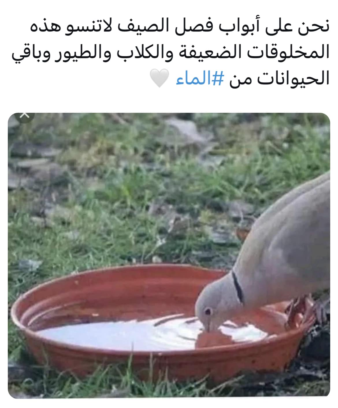 ?media id=743933654700340