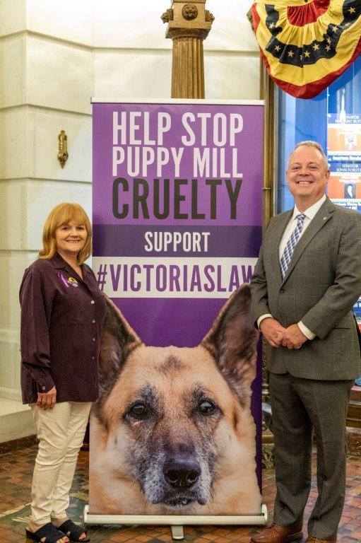 Downton Abbey star Lesley Nicol is an... - Rep. Perry Warren | Facebook