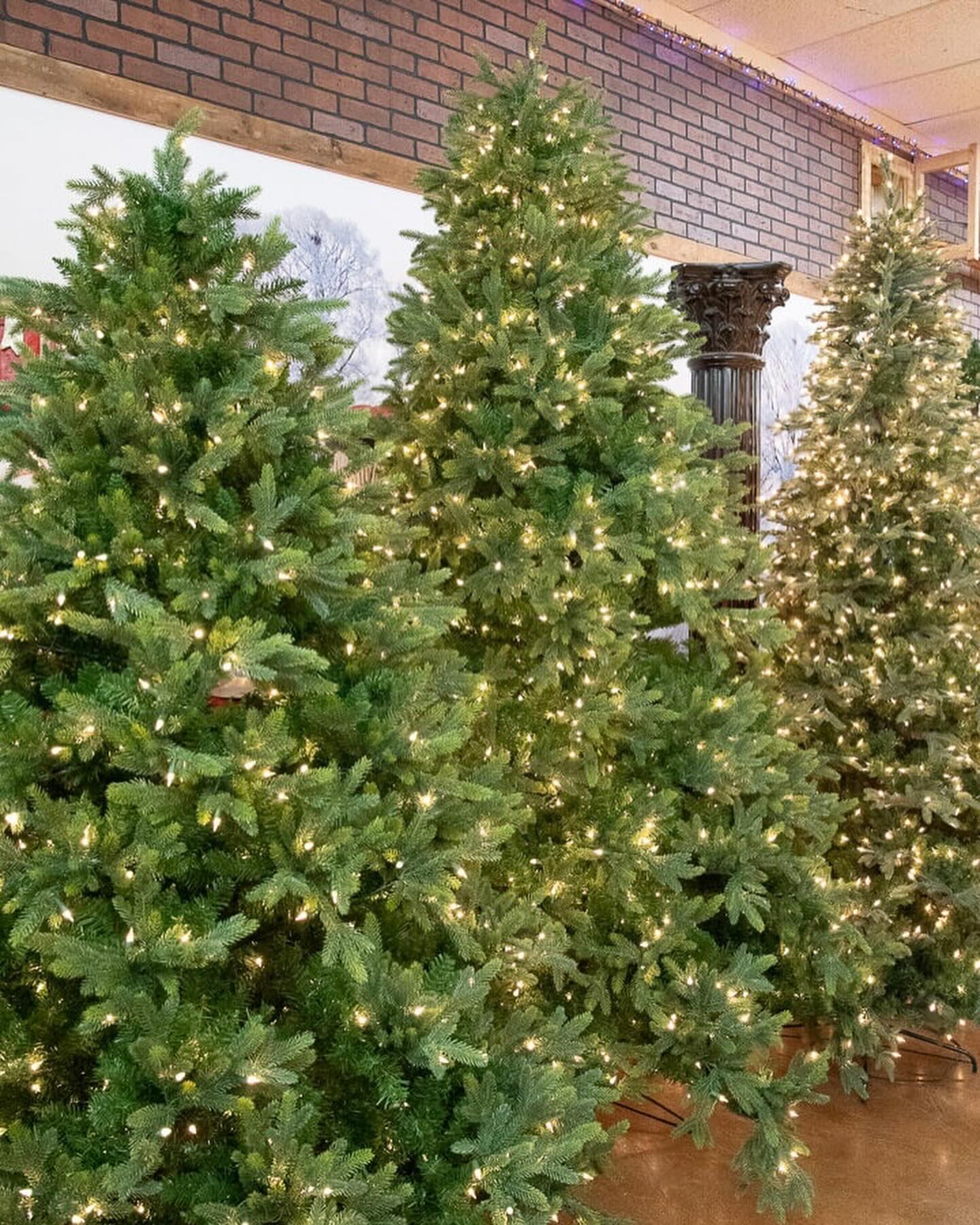 Planning to bring home the... - Decorator's Warehouse