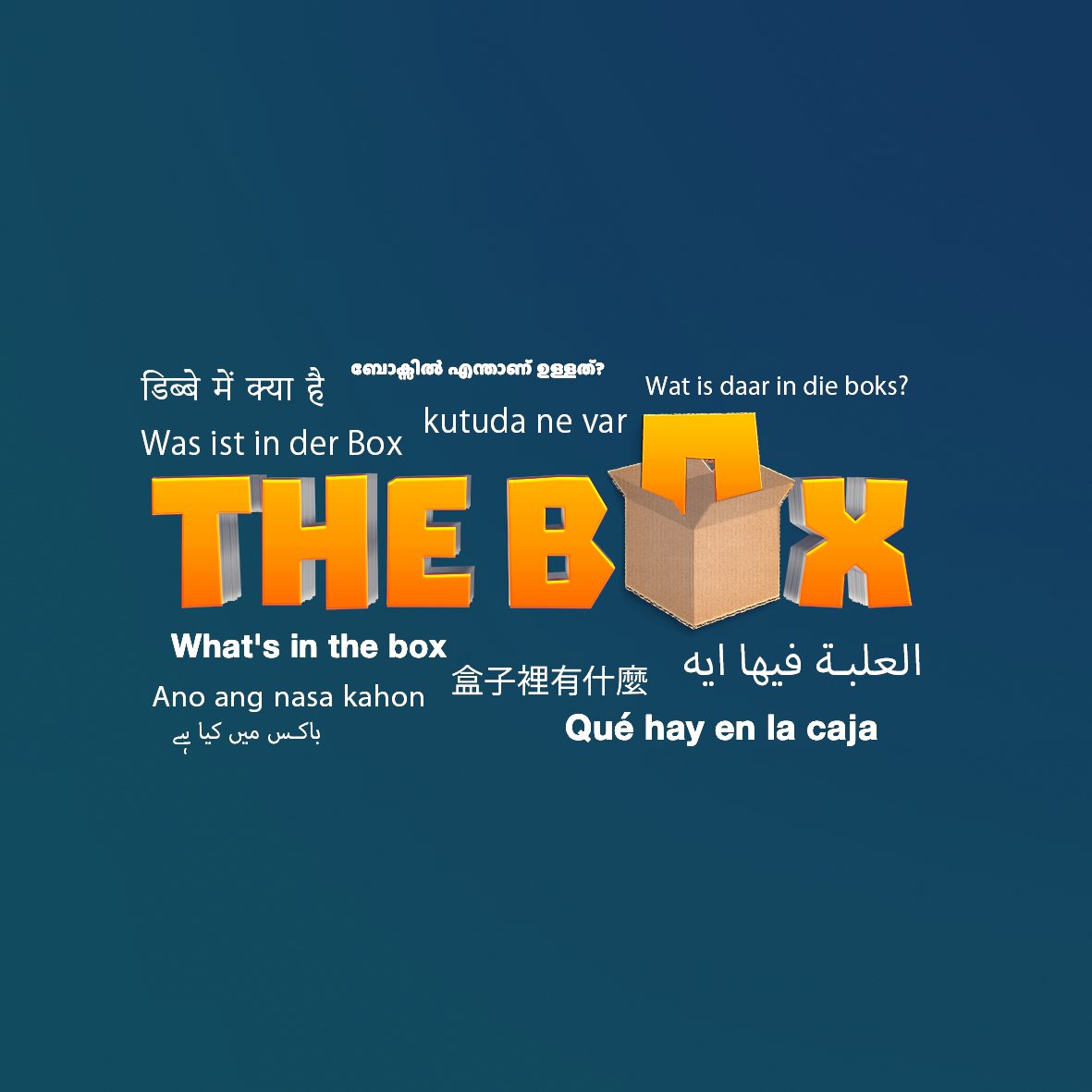 The BOX Show