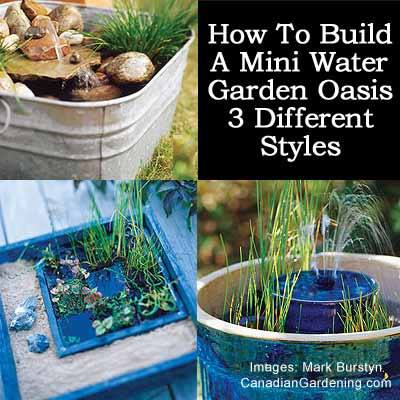 Plant Care Today - How To Build A Mini Water Garden Oasis In 3 ...