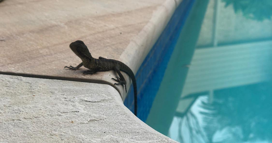 Pool Heater Sydney