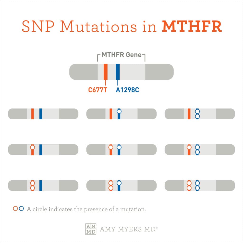a1298c and c677t and glutathione Understanding MTHFR variants' impact on methylation cycle Buy TB500 BPC-157 Blend