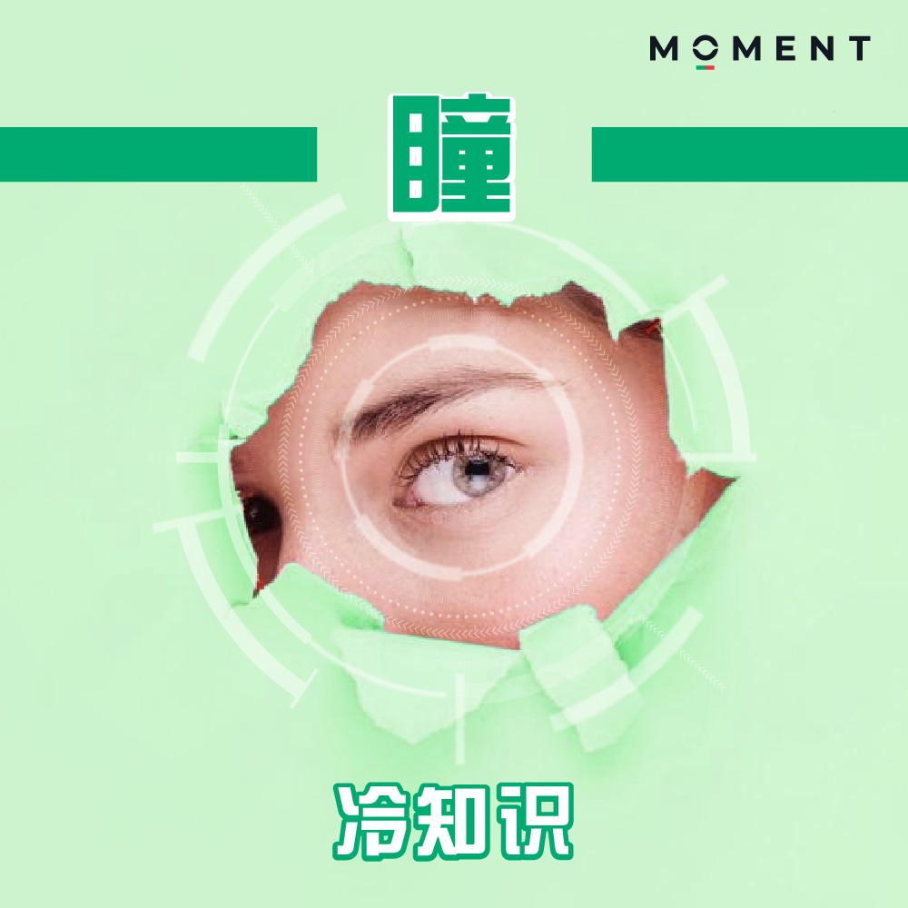 Moment Optometry | Johor Bahru