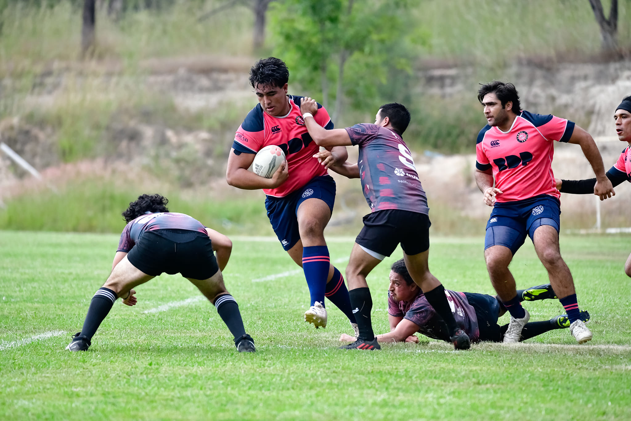 Lobos Rugby | Zapopan