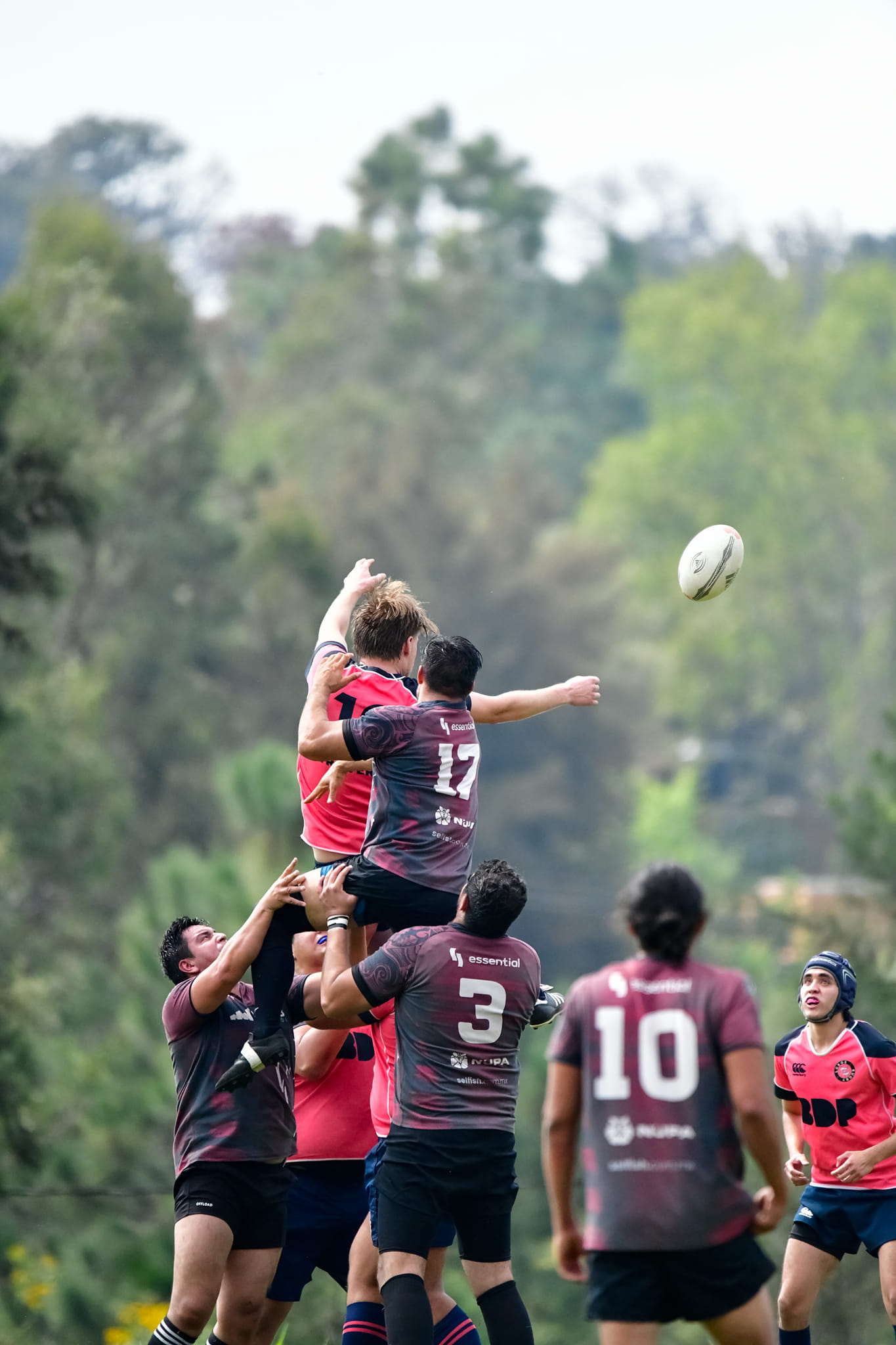 Lobos Rugby | Zapopan