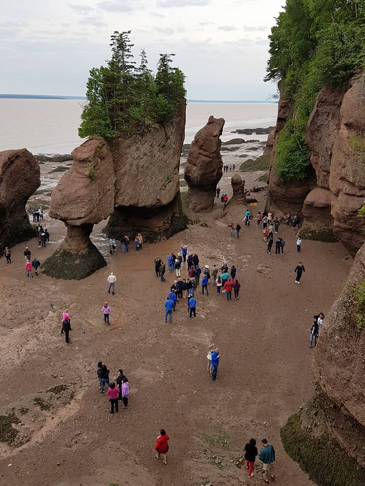 The Hopewell Rocks are a wonder of... - Sterling Coach Tours