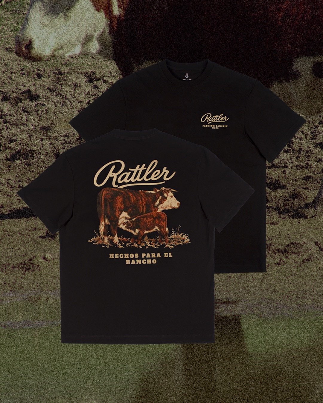 Rattler Ranch | Chihuahua