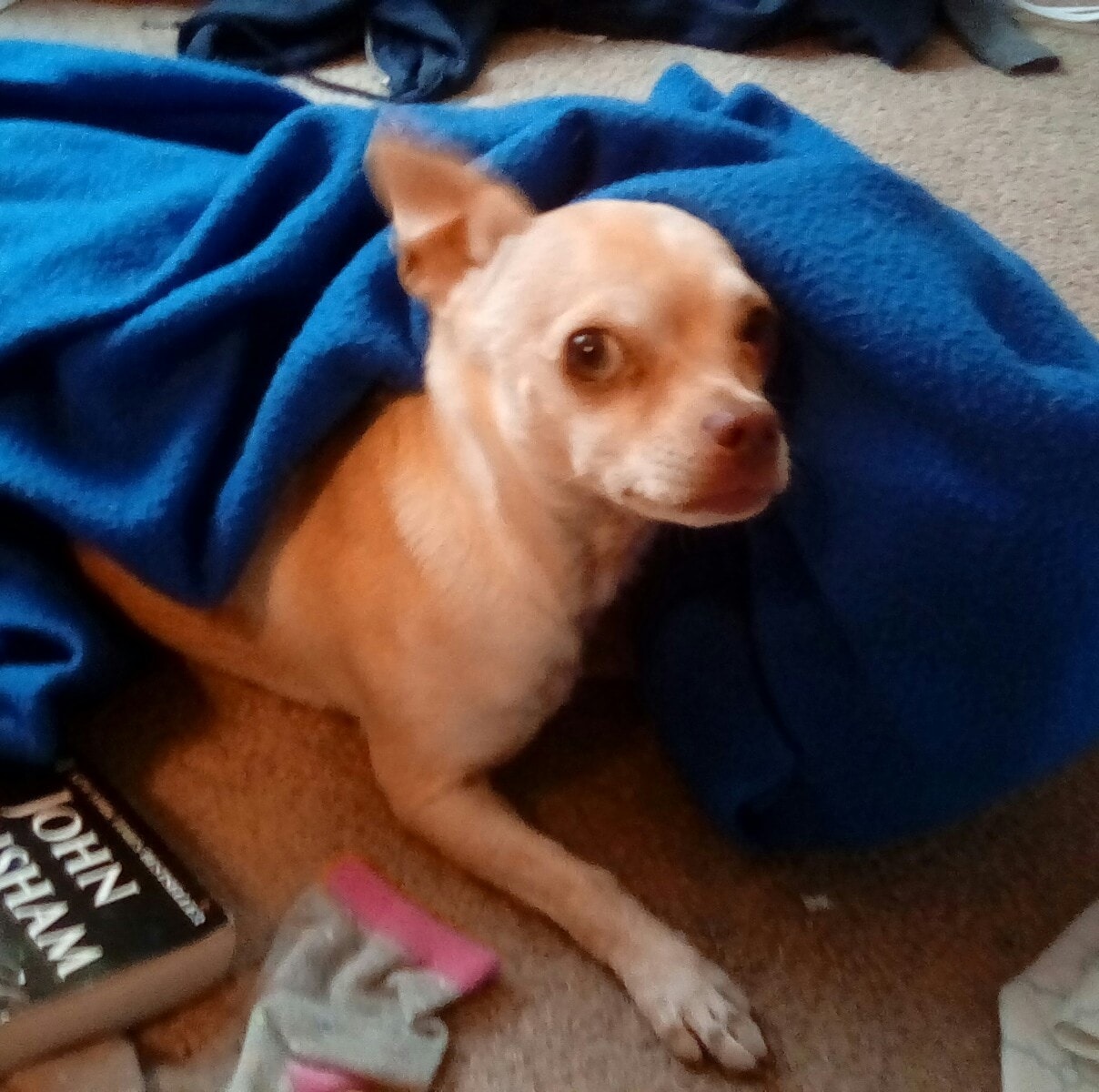 Casper - We received multiple reports yesterday from very vigilant ...