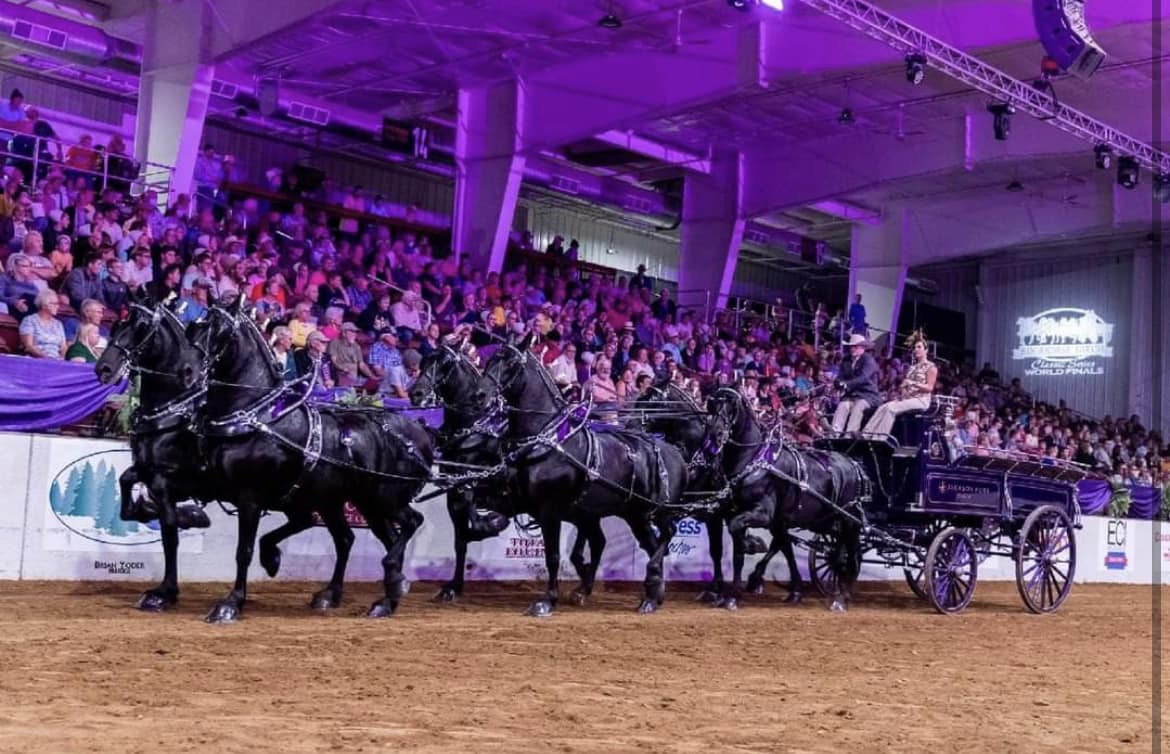 Our next featured... - The Genesee County Fair Batavia, NY | Facebook