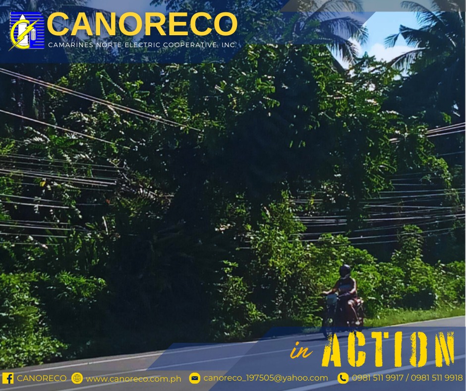 CANORECO - CANORECO Advisory | Paliwanag sa Naganap na Power Service ...