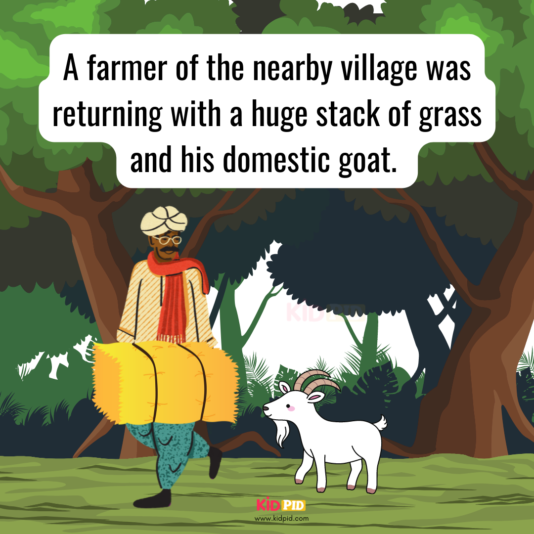 Kidpid Toons - 🧒 The Hike | Story Time for Kids 🧒... | Facebook