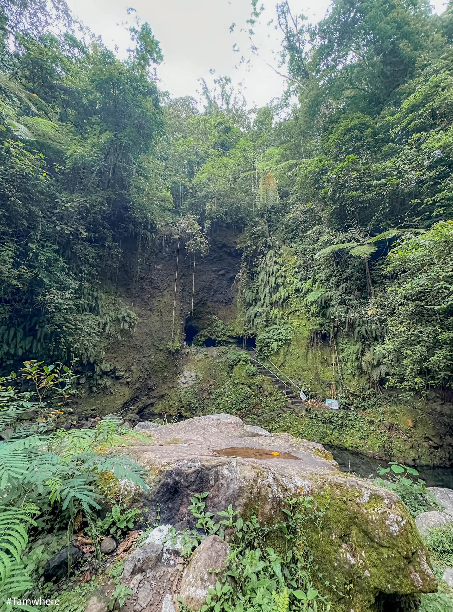 Kinabuhayan Dolores, Quezon - Tara na sa Lalawigan ng Quezon