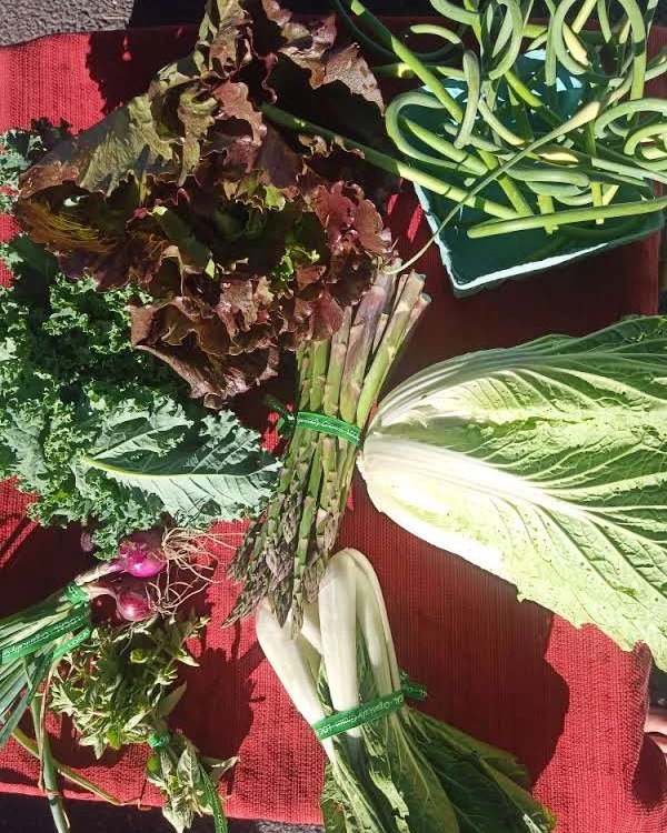 Freedom Rains Farm | Pulaski NY