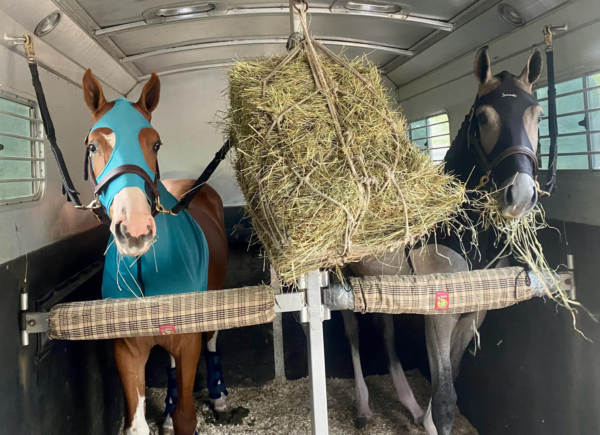 Ev-Ry Farm Inc | Mount Laurel NJ