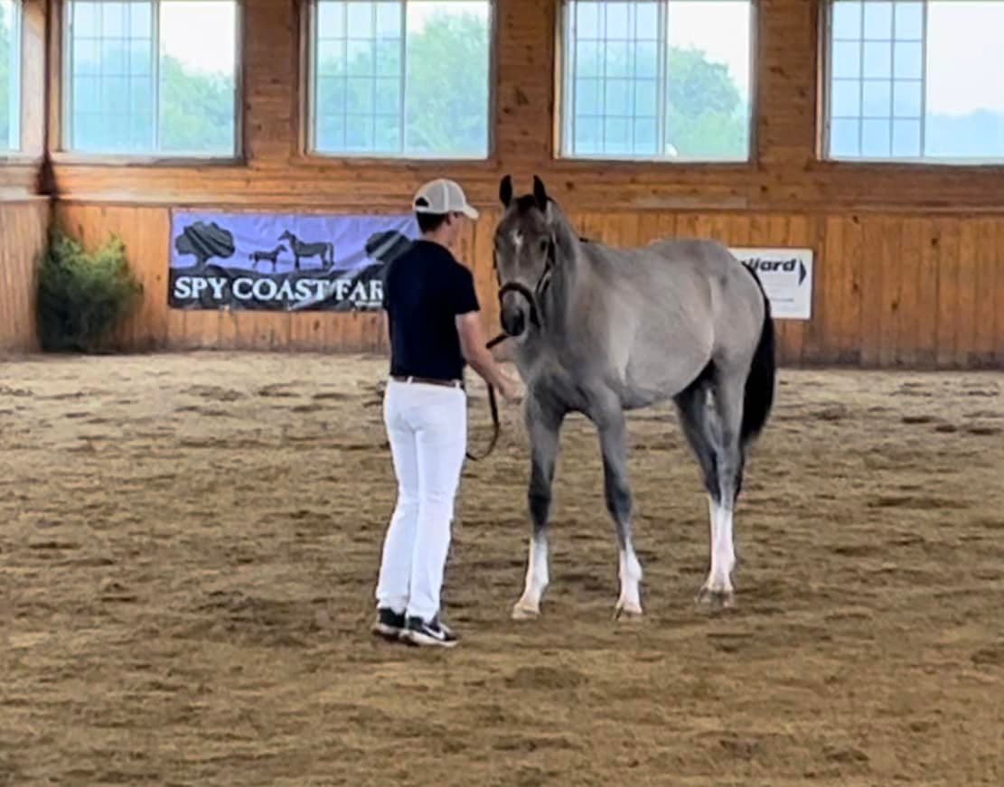 Ev-Ry Farm Inc | Mount Laurel NJ