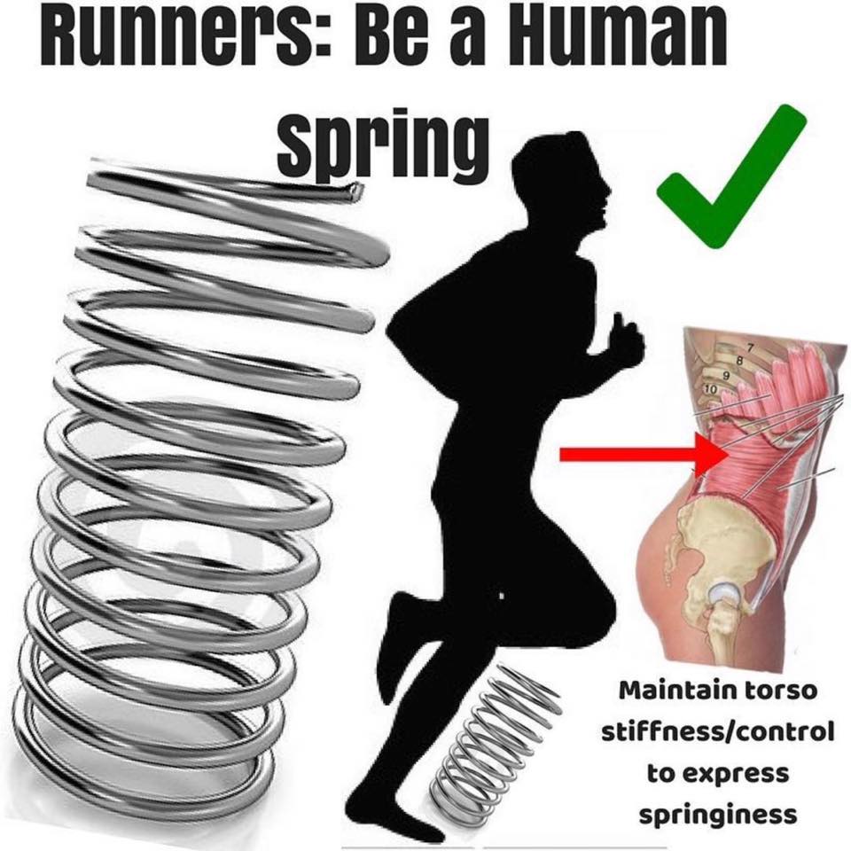 PhysioOsteoBook - #Repost @thefootcollective The spring effect ↪️ Being ...