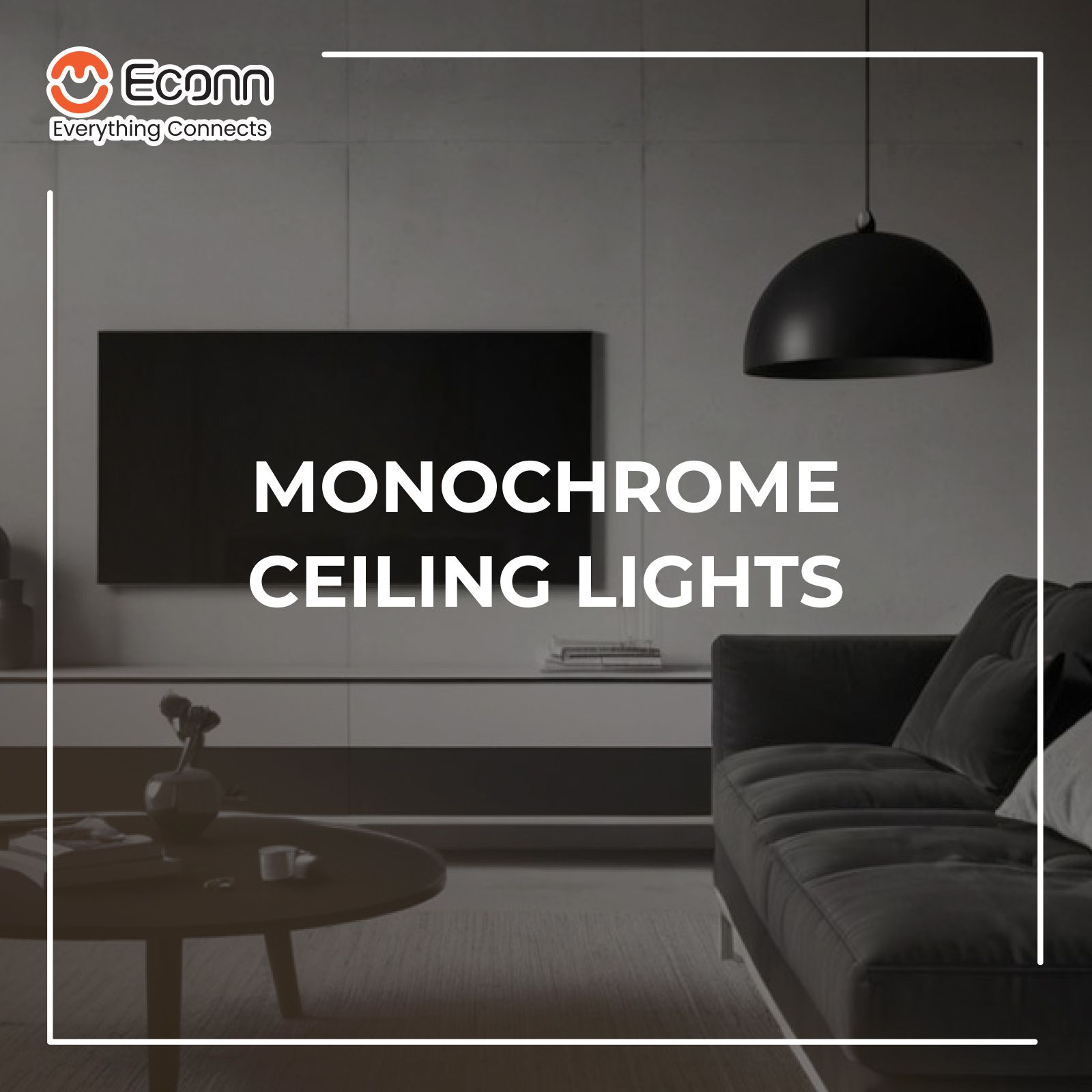 ECONN - 🖤🤍 Monochrome ceiling lights that define modern... | Facebook