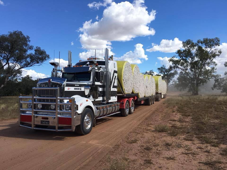 Masondale Pty Ltd - Cabin to Emu Park | Facebook