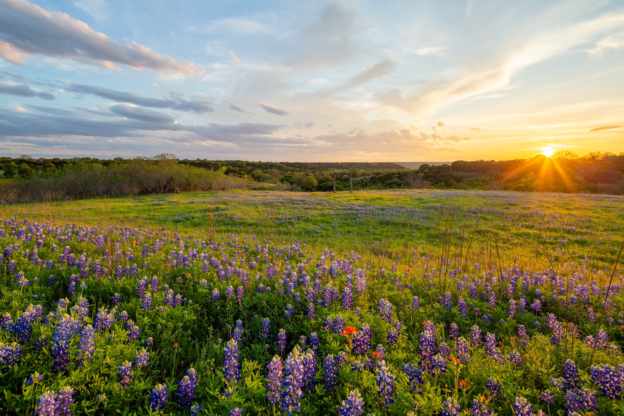 TT Ranch Group | Dallas TX
